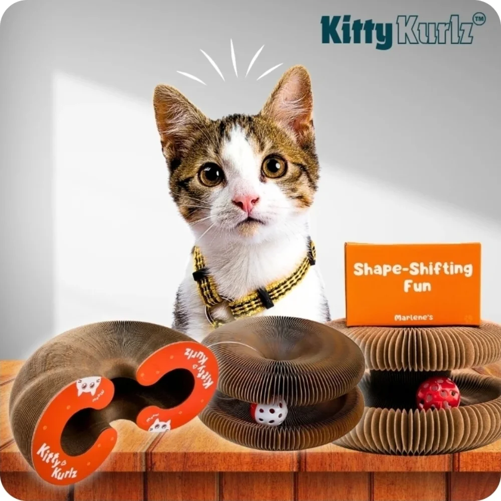 Shape-Shifting Cat Toy - NIB